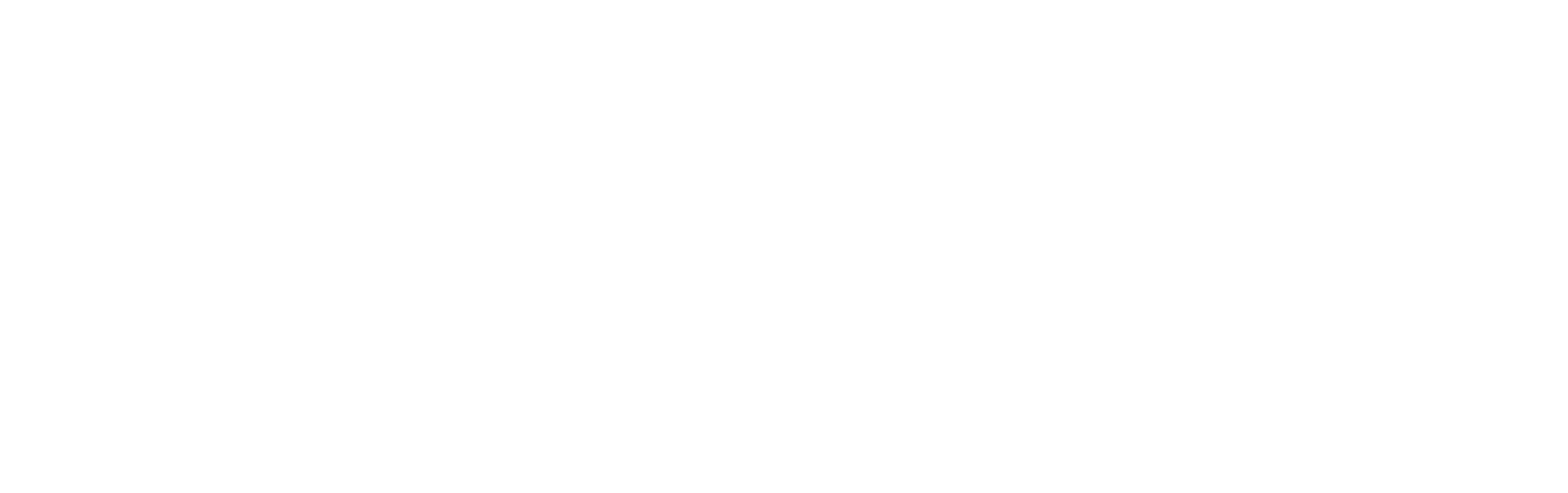 Savior Properties
